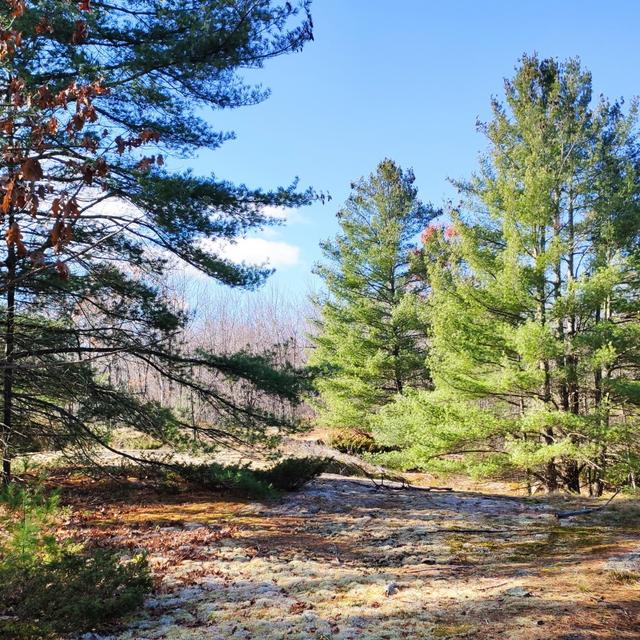 Uncharted: Carp Barrens Trail